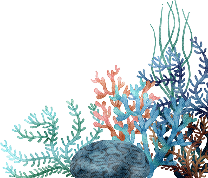 Coral Right Side